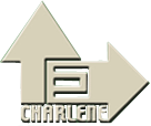 巨力 Logo | 海運與空運服務